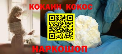 гашик Кингисепп