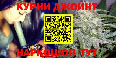 гашик Кингисепп