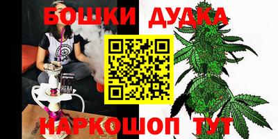гашик Кингисепп