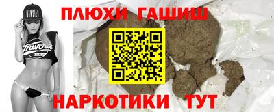 гашик Кингисепп