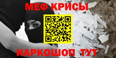 гашик Кингисепп
